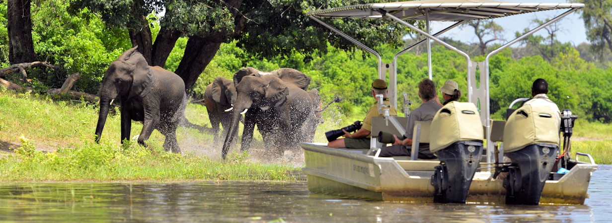 Botswana landscape