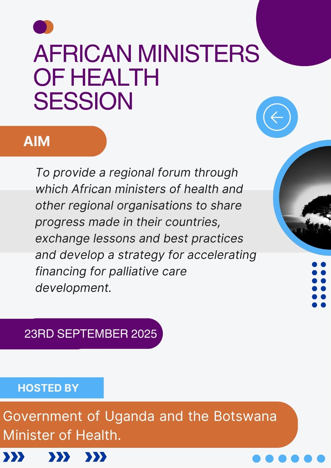 African Ministers of Health Session Image